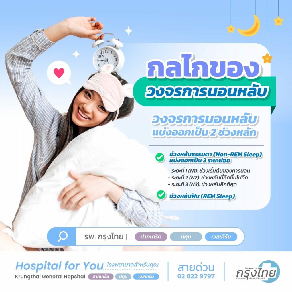 ความสำคัญของวงจรการนอนหลับ